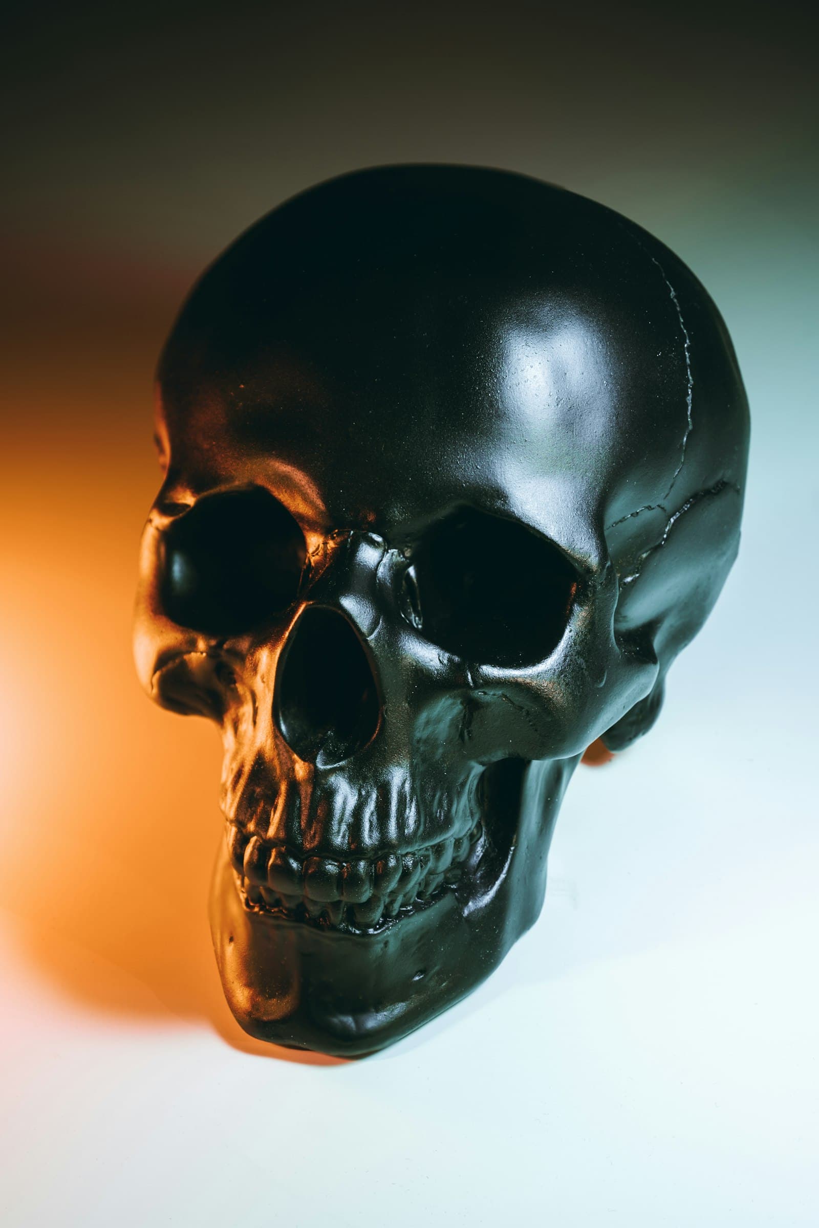 Anatomical skull